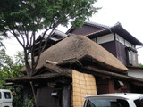写真 690