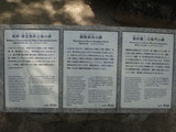 DSC08798