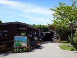 DSC08000