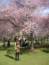 写真 697