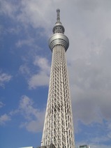 写真 707