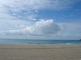海