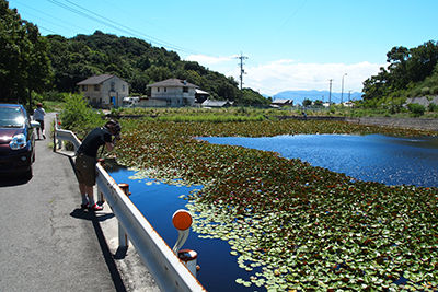 naoshima13