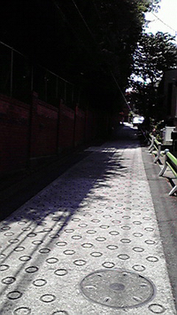 siro1