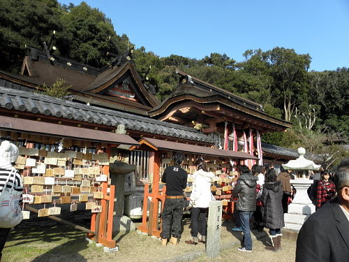 P1010009