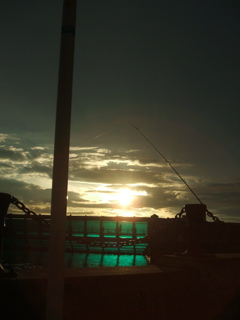 DSCF6375