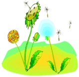 6d064767.gif
