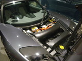 IMGP5670