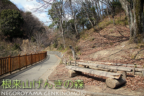 和歌山県立森林公園 根来山げんきの森