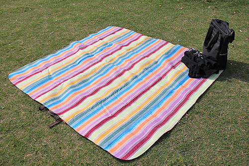 コールマン 起毛レジャーシート(ストライプ柄)