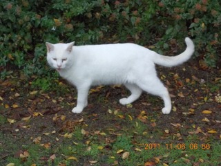 20111106-DSCN0044