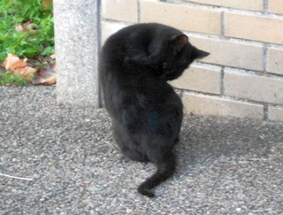 20111110-DSCN0298