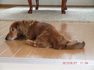 20100627-CIMG1819_���
