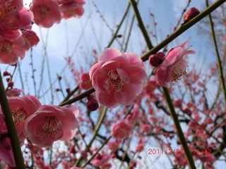 20110227a-CIMG0244