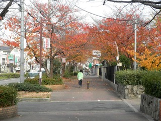 20111207-PC070364