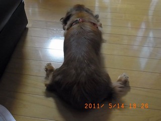 20110517-R0010102