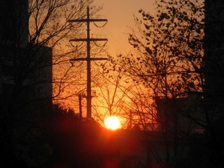 20111214c-PC140488