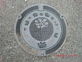 20100409-CIMG1319貝塚MH