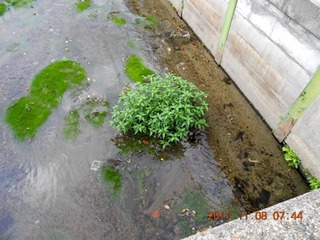 20111108-DSCN0288