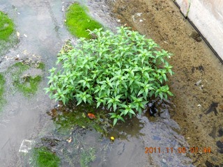 20111108-DSCN0289