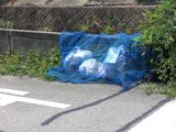 20090714-CIMG1950