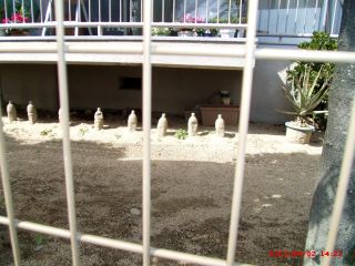 20120402-GEDC0082