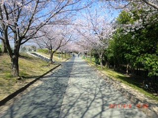 20110406-CIMG0712