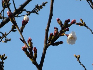 20110328-CIMG0509