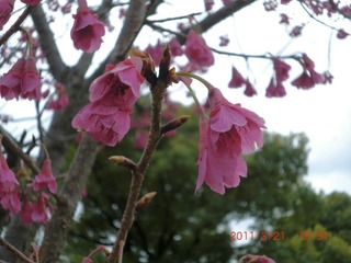 20110321-CIMG0435
