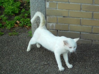 20111028-DSCN0225