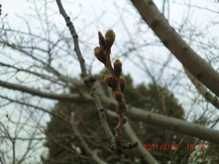 20110322-CIMG0451
