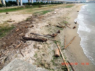 20101101-CIMG2537