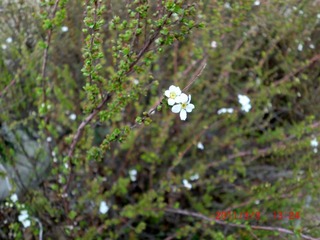 20110303-CIMG0278