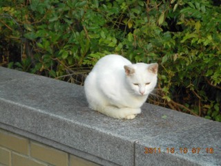 20111010a-DSCN0077