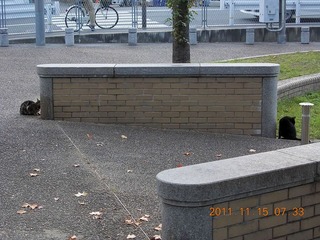 20111115-DSCN0068a