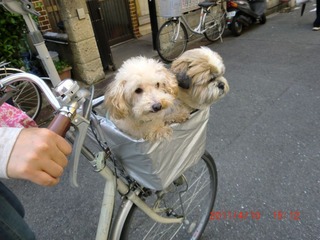 20110410-CIMG0799