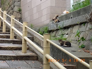 20110505-R0010011