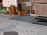 20091216-CIMG0012