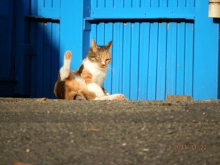 20111123-PB220113