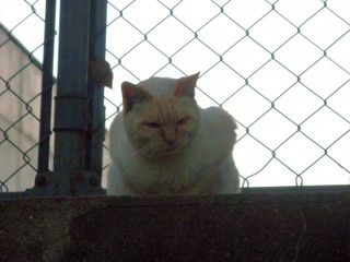 20120102d-P1010583