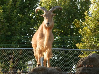 20111123-PB220101