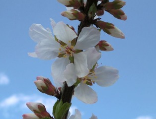 20110323-CIMG0472