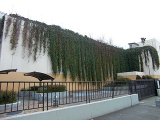 20111005-b9cd1653