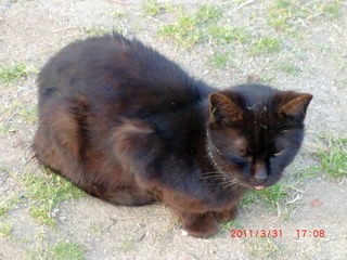 20110331-CIMG2953