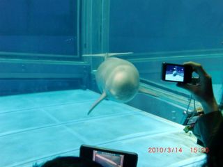 20100315-CIMG1078���ʥ��