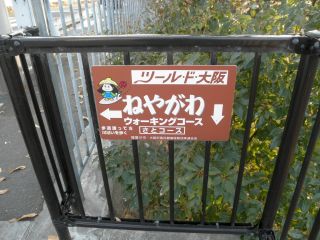 20120202a-P1250772
