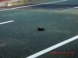 20091018b-RIMG2878