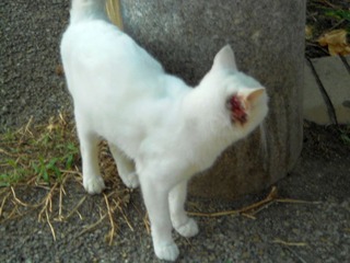 20111028-DSCN0231