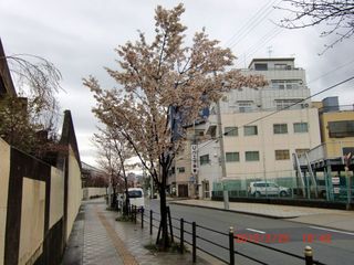 20100325-CIMG1138今宮