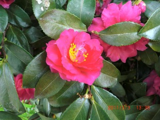20110303-CIMG0290